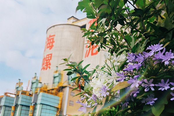 20240813143719471 20240813143719471