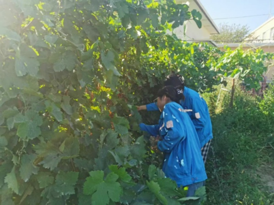 20240810175756831001 20240810175756831001