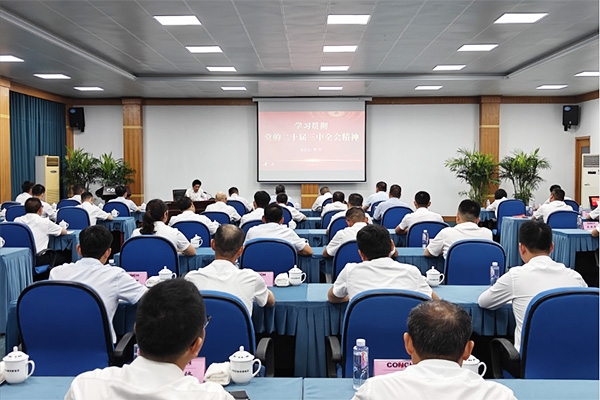 集團黨委書記、董事長楊軍到銅陵海螺開展學...